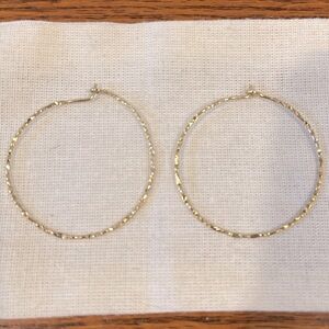 COPY - Large 14k Gold Plated Hoop Earrings